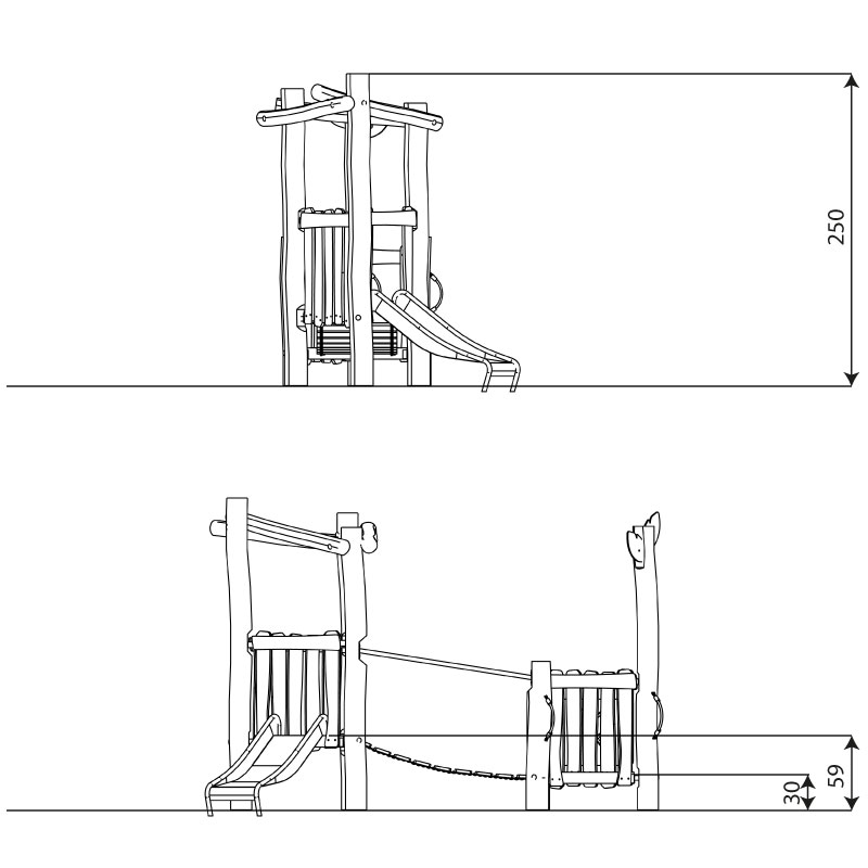 Robinia Rb1307 